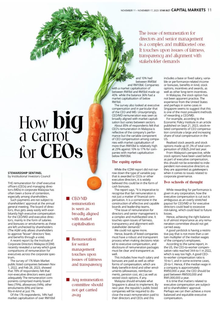 How Big A Carrot for CEOs?