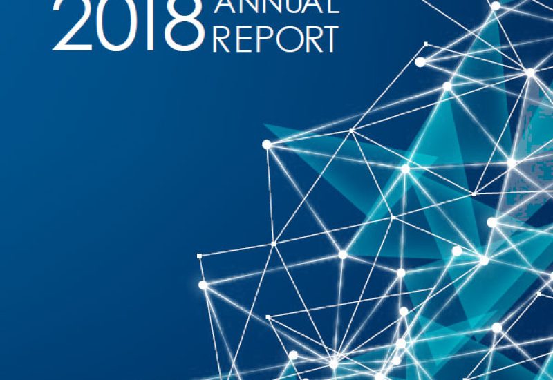 IIC Annual Report 2018