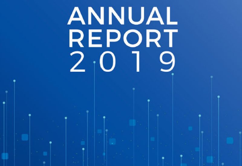 IIC Annual Report 2019