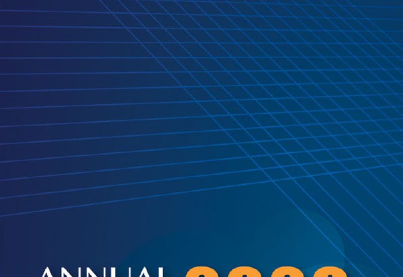 IIC-Annual-Report-2020