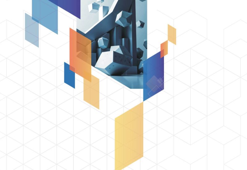 IIC Annual Report 2024 - Front Page